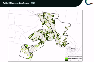 New NatureLedger for Better Decisions on Managing Vegetation | Gyranda Santa Gertrudis